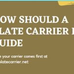 How should a plate carrier fit - Complete Guide