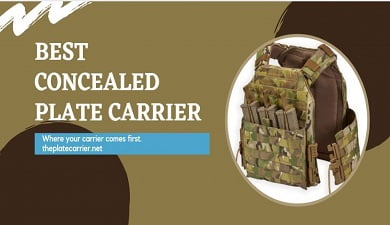 An image containing a best concealed plate carrier