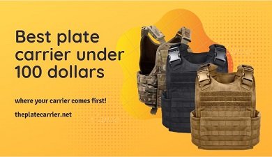An image containing three best plate carriers under 100