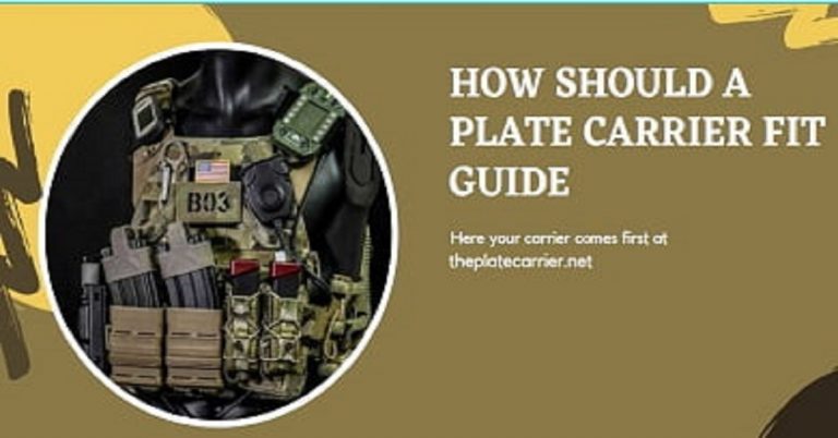 How should a plate carrier fit
