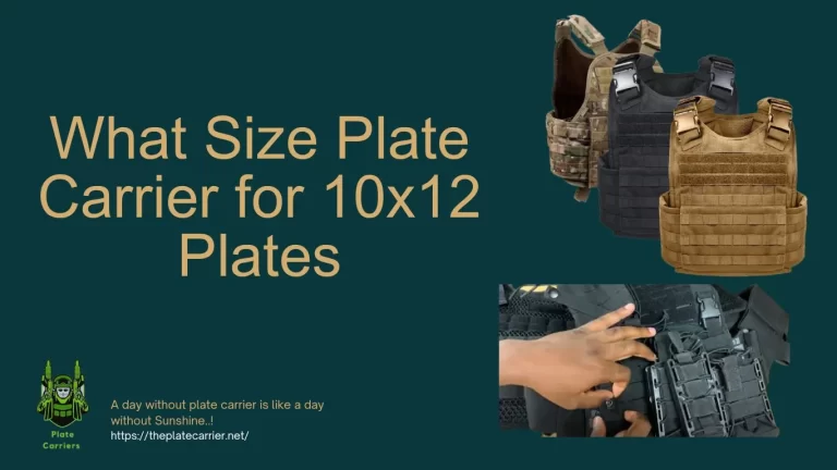 What Size Plate Carrier for 10x12 Plates